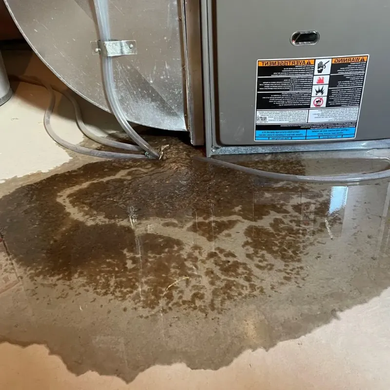Pipe Burst and Leak Restoration in Fairfield County, OH